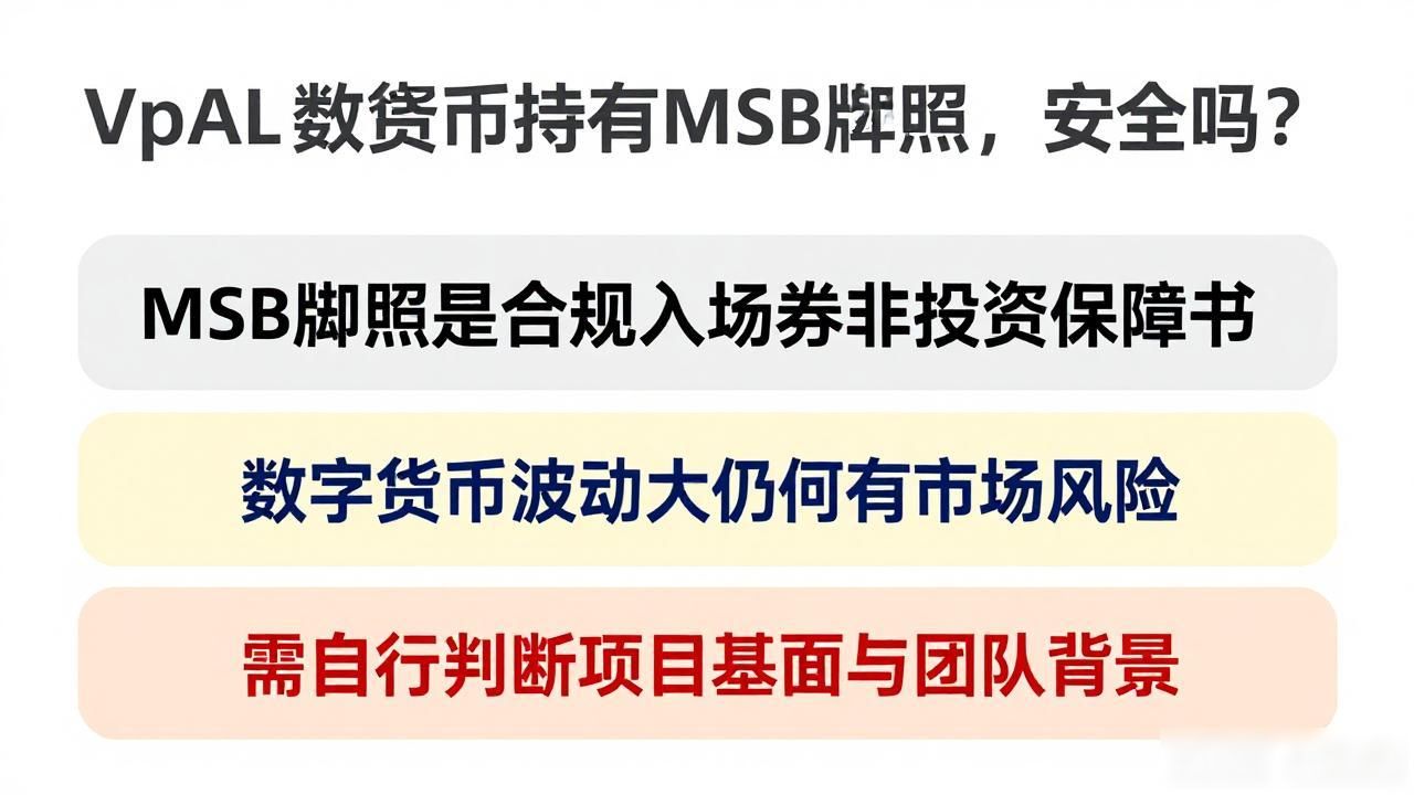 VpAL数字货币MSB牌照作用_VpAL合规运营反洗钱KYC流程_VpAL数字货币持有MSB牌照